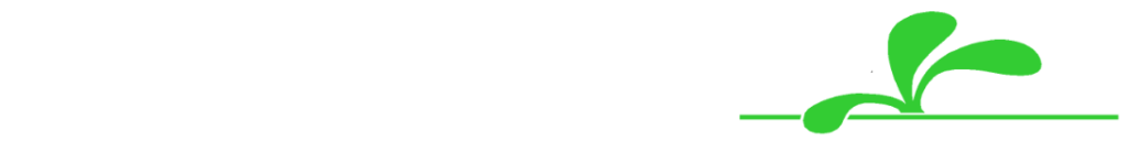 stk nový bydžov